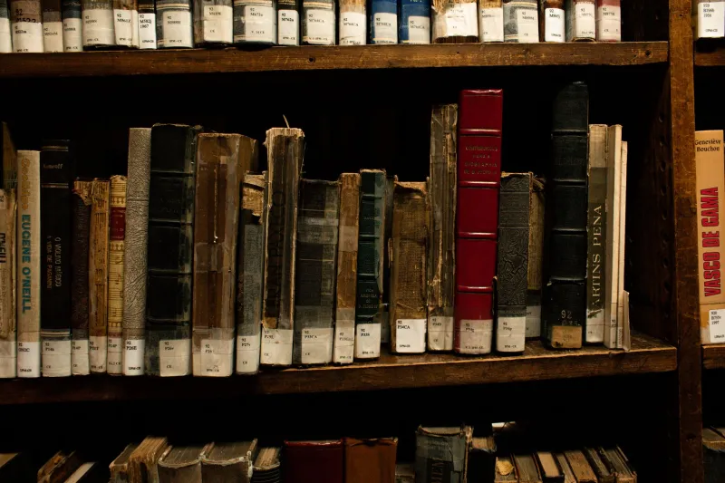 The Disappearing Shelf: What Gets Erased When Transgressive Media Goes Underground